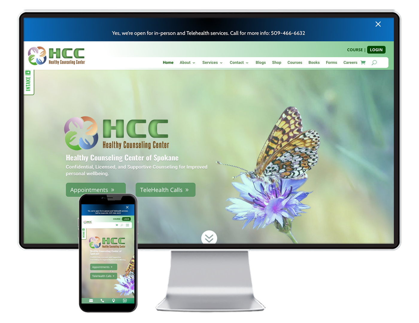 Healthy Counseling Center website